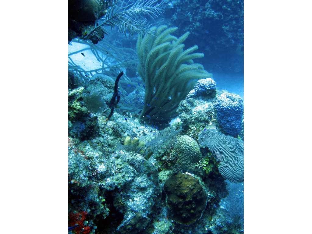 IMG_0114 (1) IMG_0114 (1)